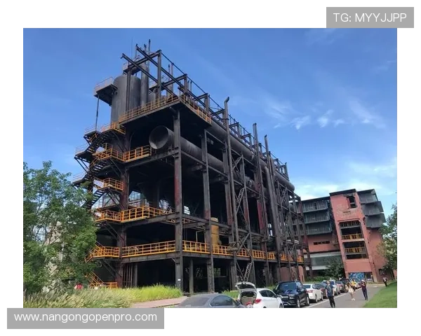 南特球迷文化深度探究与城市认同的互动关系